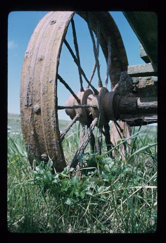 Photo of rusted wheel in the tundra grass.