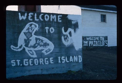 Photo of welcome to St. George sign.