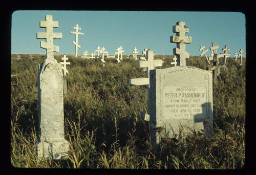 Photo of headstones in cemetery.