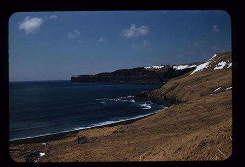 Photo of view of Garden Cove and cliffs to the west.
