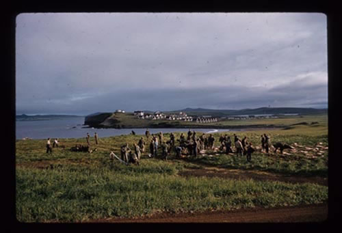 Photo of killing field at Reef Point in early morning with St. Paul Village in the background.