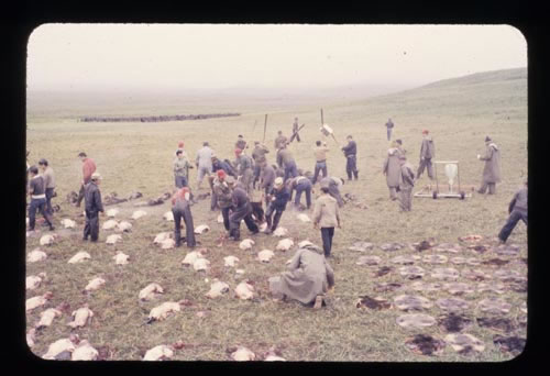Photo of sealing operation at the Zapadni killing field.