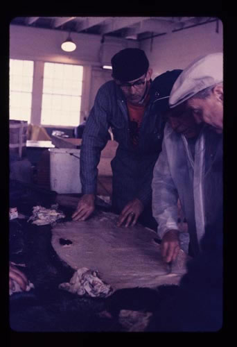 Photo of men inspecting a seal skin.