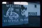 Thumbnail photo of welcome to St. George sign.
