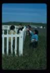 Thumbnail photo of women painting the church fence.