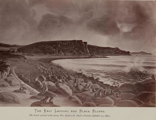 Drawing of East Landing and Black Bluffs.