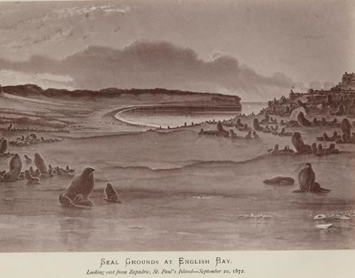 Drawing of view of English Bay from Zapadni.