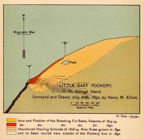 Map of Little East Rookery.