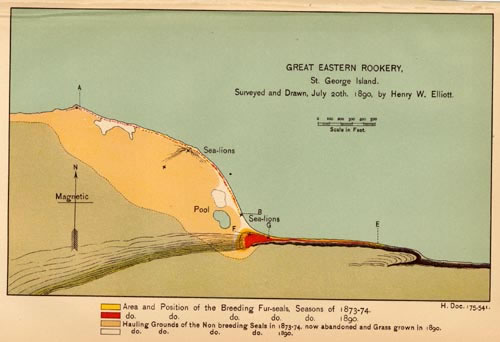 Map of Great Eastern (now East) Rookery.