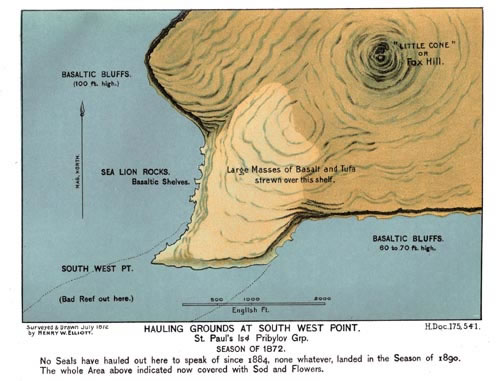 Map of northern fur seal hauling grounds at Southwest Point.