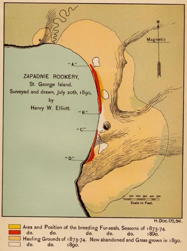 Map of Zapadni Rookery.