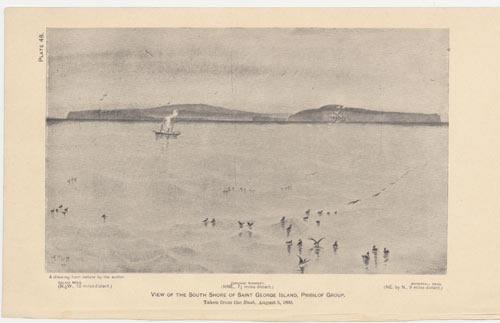 Drawing of view of the south shore of St. George Island.