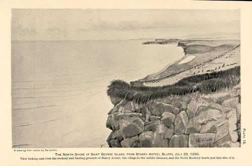 Drawing of view of the north shore of St. George Island from Staraya Artil bluffs.