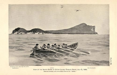 Drawing of view of the north shore of Otter Island.
