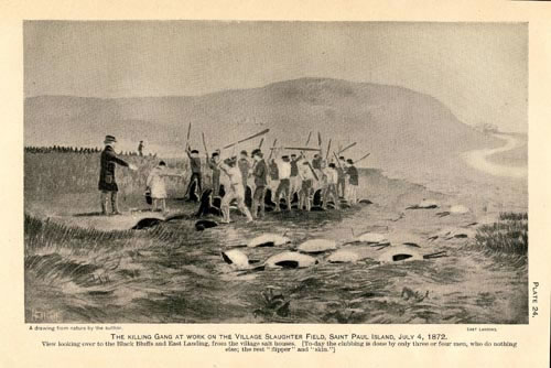 Drawing of the killing gang at work on the Village slaughter field.