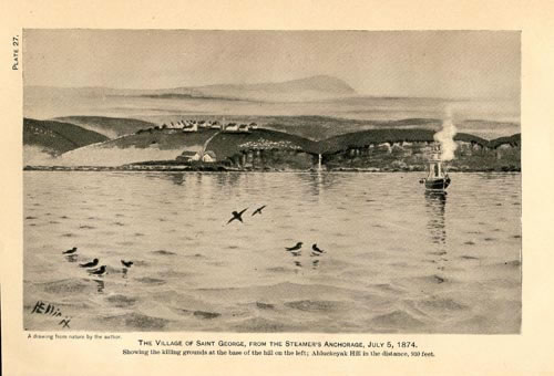 Drawing of St. George Village with a steamer in the foreground.