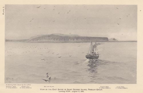 Drawing of a view of the east shore of St. George Island.