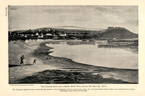 Drawing of Village Cove and Landing.