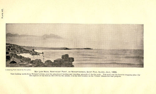 Drawing of abandoned hauling grounds at Sea Lion Neck, Northeast Point.