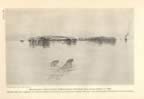 Thumbnail drawing of Walrus Island viewed from the East.