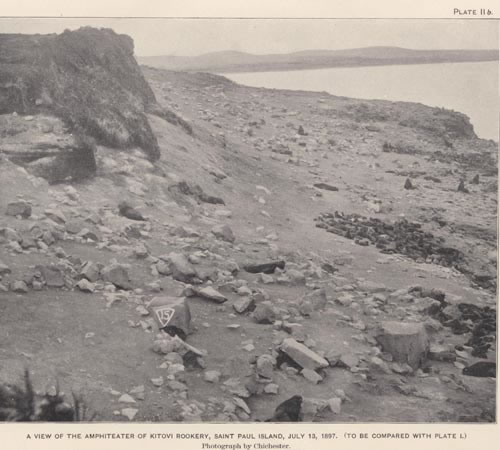 Photo of Kitovi Rookery, a historic picture of a rocky shore.