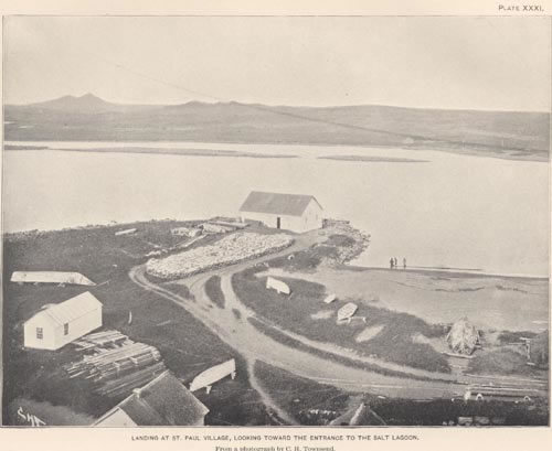 Photo of Salt Lagoon from Village Hill, a historic photo.