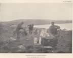 Thumbnail photo of Branding seals at Lukanin Rookery, a historic picture ofmen on shore with seals and branding equipment.