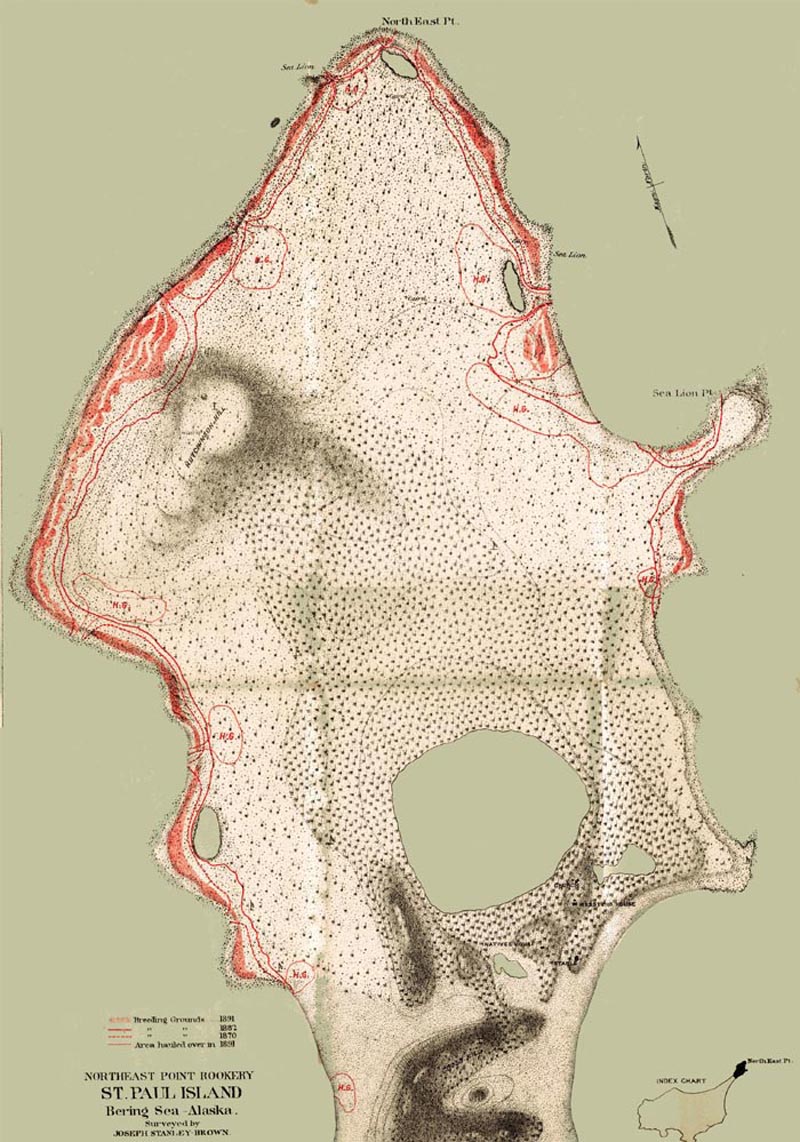 Map of Northeast Point Rookery.