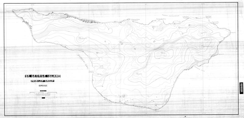 Map of St. George Island.