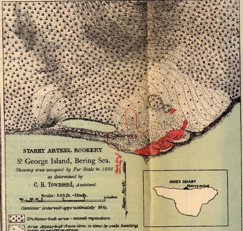 Map of Starry Arteel Rookery.