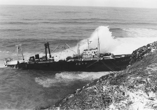 Photo of Ryuyo Maru aground against Tolstoi Cliff.