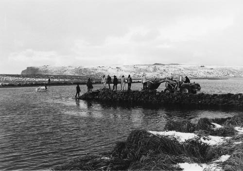 Photo of dike construction in an attempt to stop diesel fuel from going into the Salt Lagoon from the grounded Ryuyo Maru.