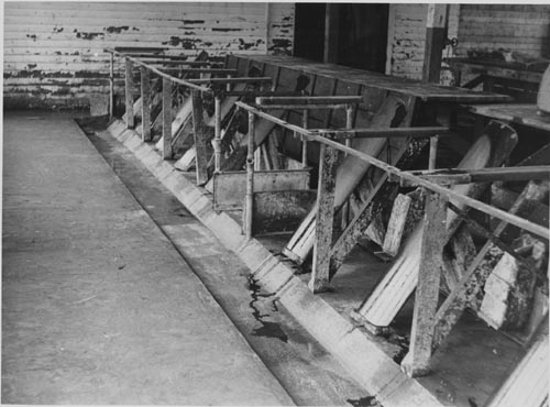 Photo of the interior of the sealing plant.
