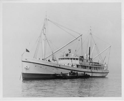 Photo of ship "Penguin II".