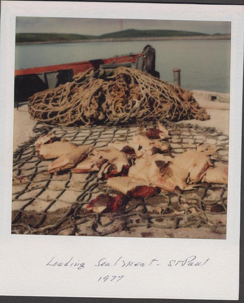 Photo of seal meat on net.