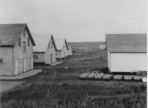 Photo of sealskin processing buildings and paint shop.