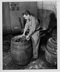 Thumbnail photo of a man unpacking raw salted fur seal skins from a barrel.