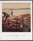 Thumbnail photo of a bale of seal meat.