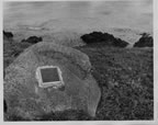 Thumbnail photo of National Historic Landmark plaque on boulder at Lukanin Rookery.