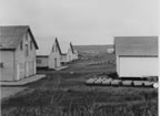 Thumbnail photo of sealskin processing buildings and paint shop.