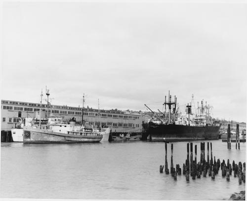 Photo of several ships including the "Penguin II".