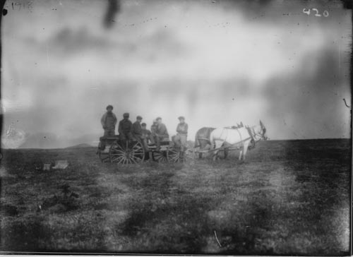 Photo of men in mule-drawn wagon.
