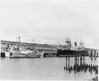 Thumbnail photo of several ships including the "Penguin II".
