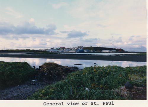 Photo of view of St. Paul across the Salt Lagoon Channel and Harbor.