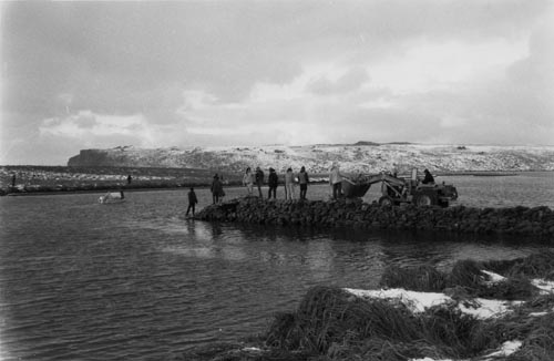 Photo of construction of a dike across the Salt Lagoon Channel to prevent oil from entering as a result of the grounding of the Ryuyo Maru.