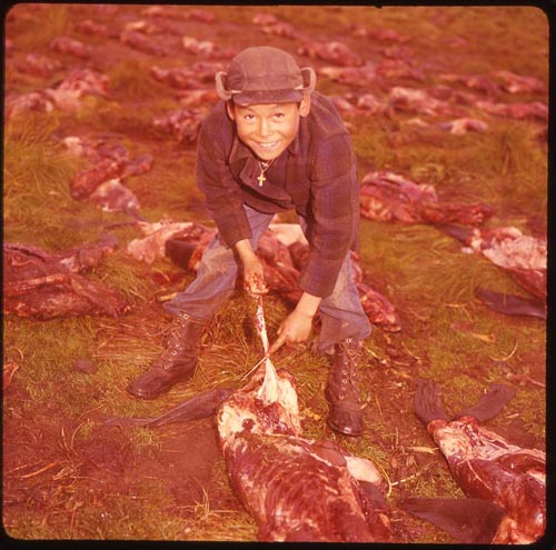 Photo of young boy, Nikander Shane, cutting sealskin.
