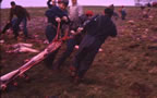 Thumbnail photo of people ripping seal flesh.