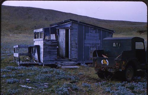 Photo of old shack with Jeep No. 36 near rookeries.