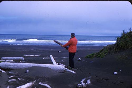 Photo of man holding driftwood at North Beach.