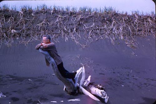Photo of man done clamming resting on driftwood at North Beach.